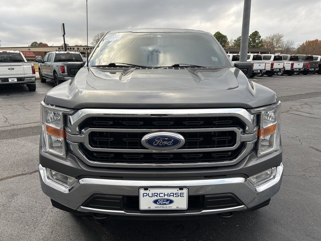 Used 2022 Ford F150 XLT w/ Equipment Group 301A Mid image 2