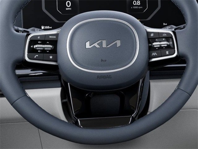 New 2025 Kia Carnival SX Prestige FWD image 22