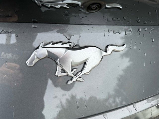 Used 2024 Ford Mustang Premium image 16