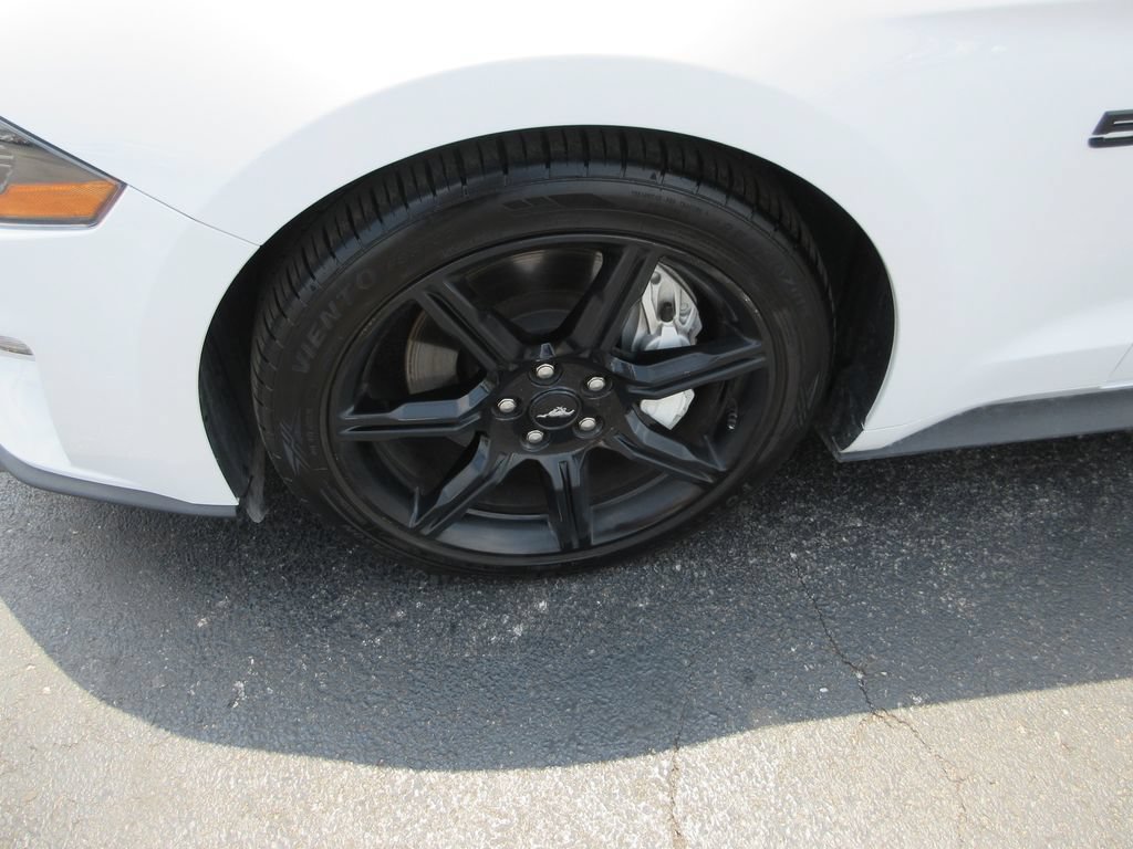 Used 2019 Ford Mustang GT Premium w/ Black Accent Package RWD image 14