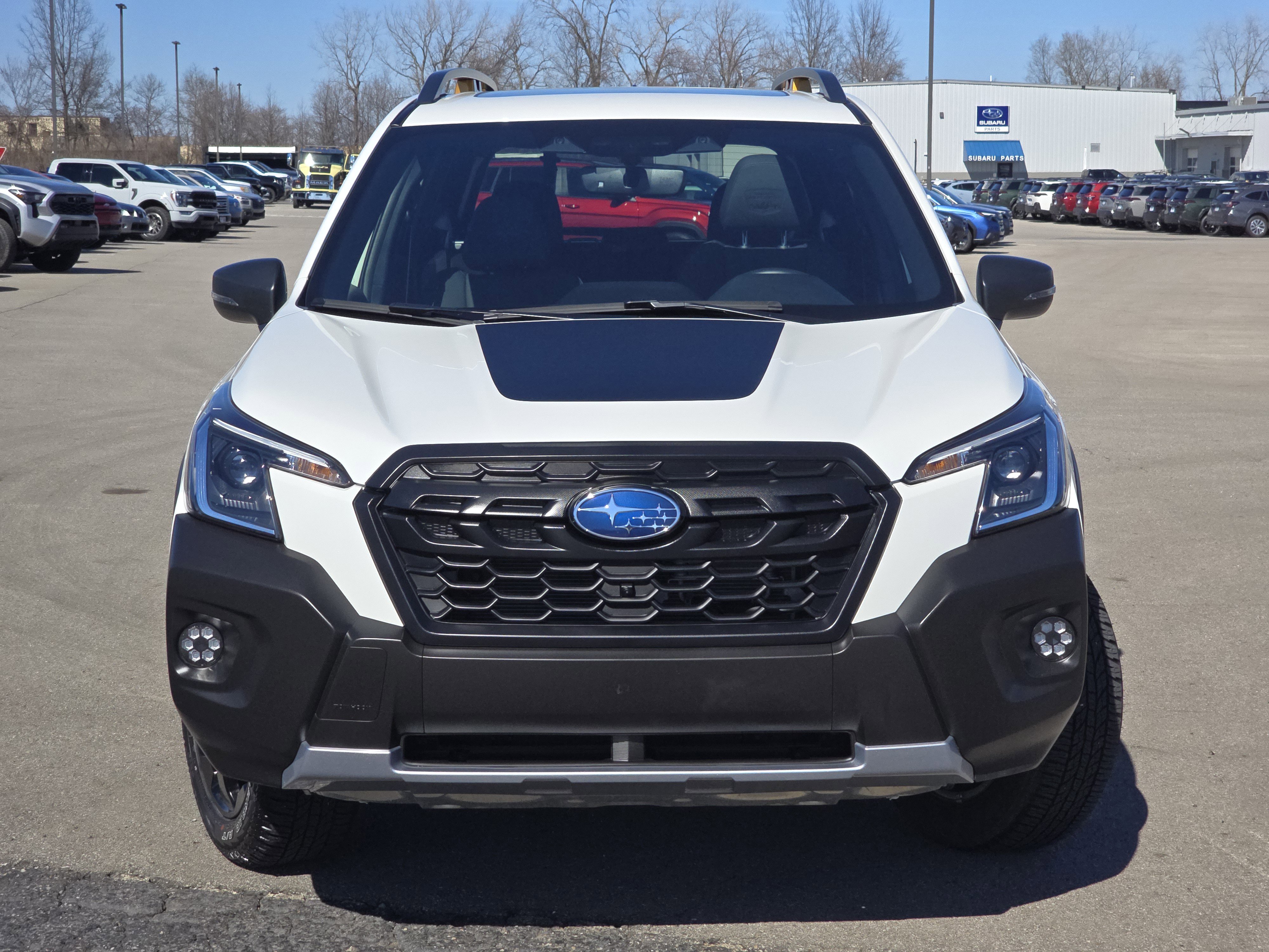 Certified 2025 Subaru Forester Wilderness image 2