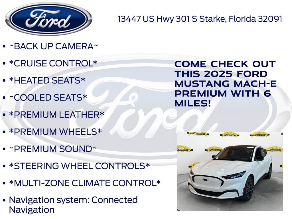 New 2025 Ford Mustang Mach-E Premium w/ Interior Protection Package image 10