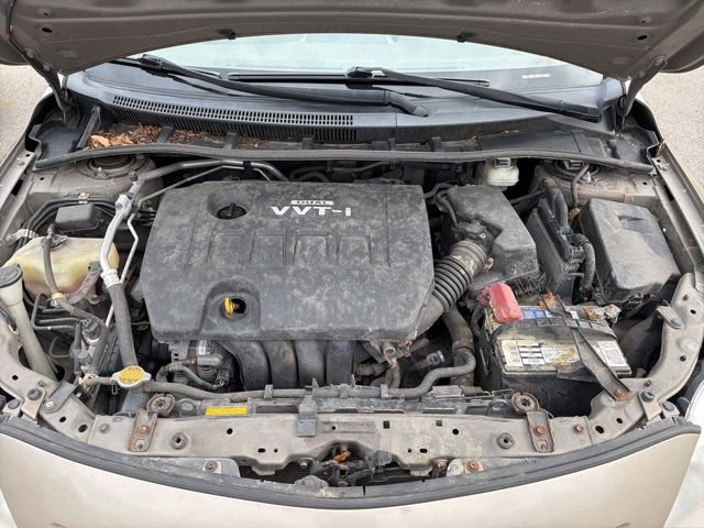 Used 2010 Toyota Corolla image 4