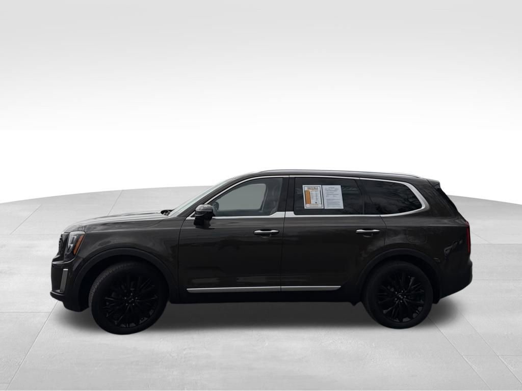 Used 2020 Kia Telluride SX w/ SX Prestige Package image 4