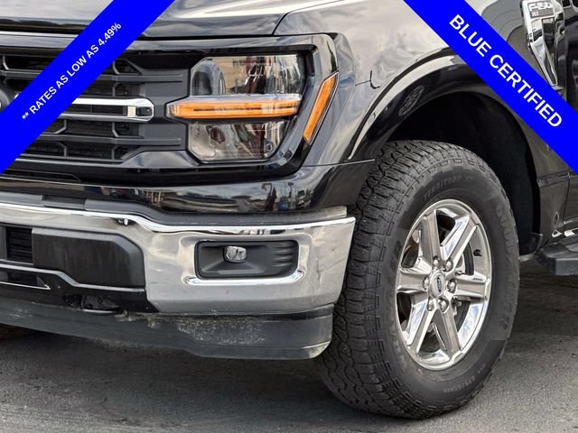 Used 2025 Ford F150 XLT w/ Equipment Group 301A Standard AWD/4WD image 5