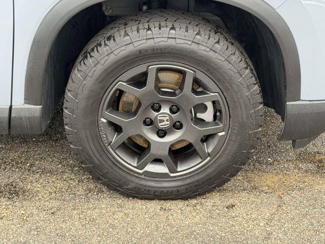Certified 2024 Honda Pilot TrailSport image 7