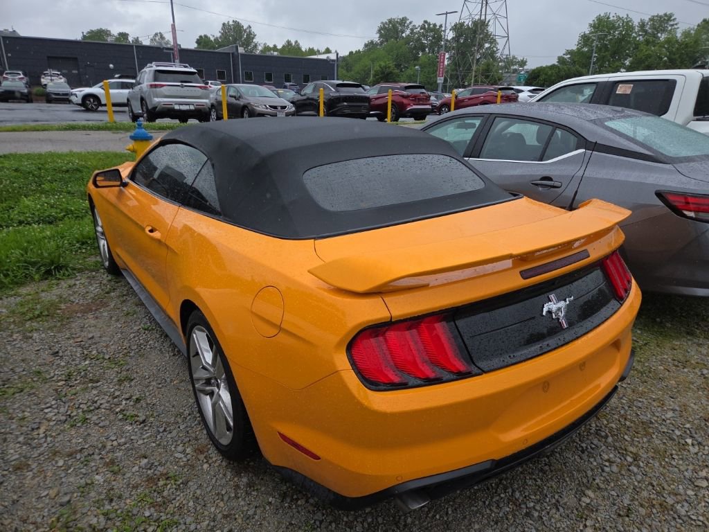 Used 2019 Ford Mustang Premium w/ Pony Package RWD image 4