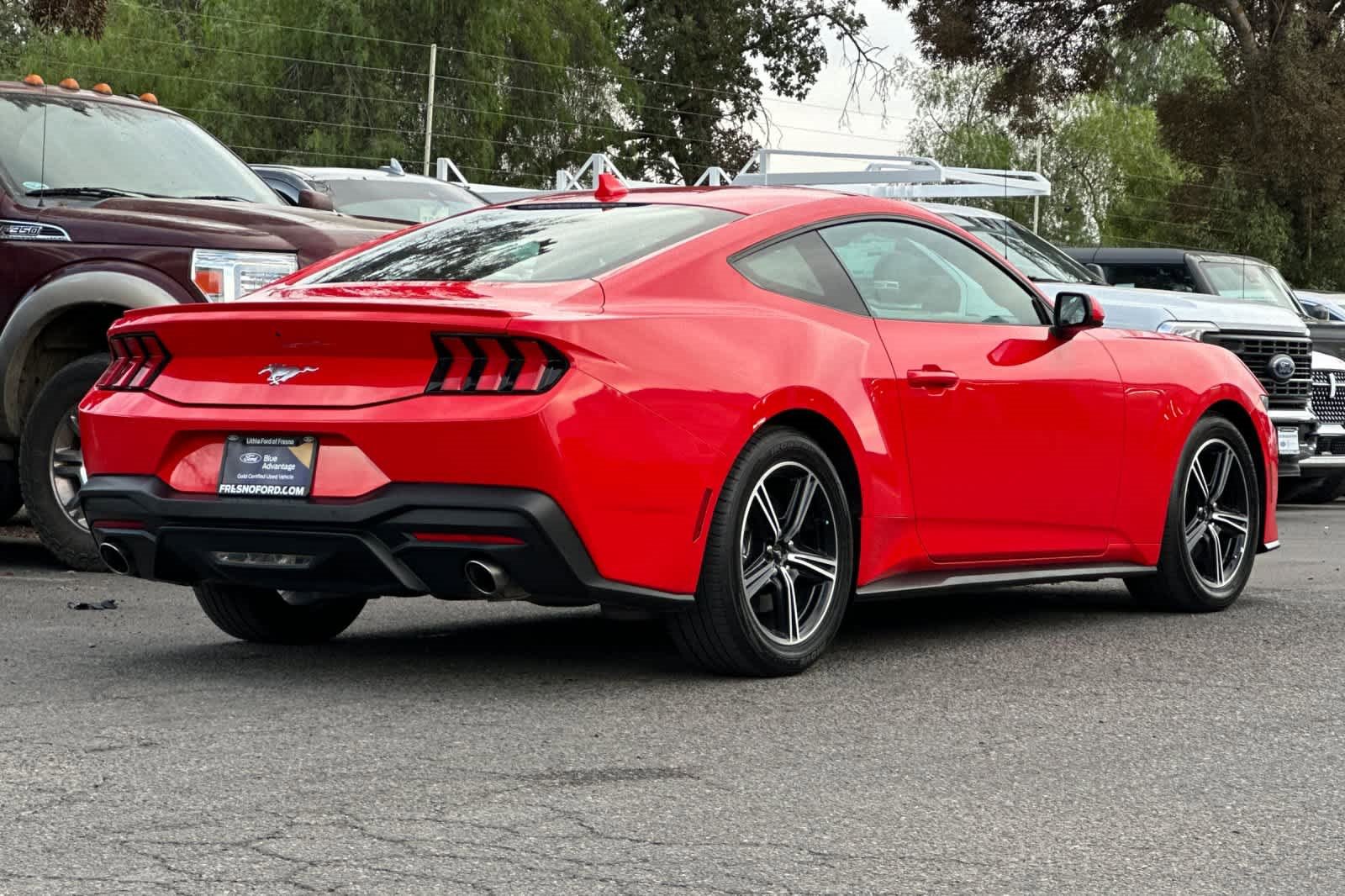 Certified 2024 Ford Mustang Premium image 2