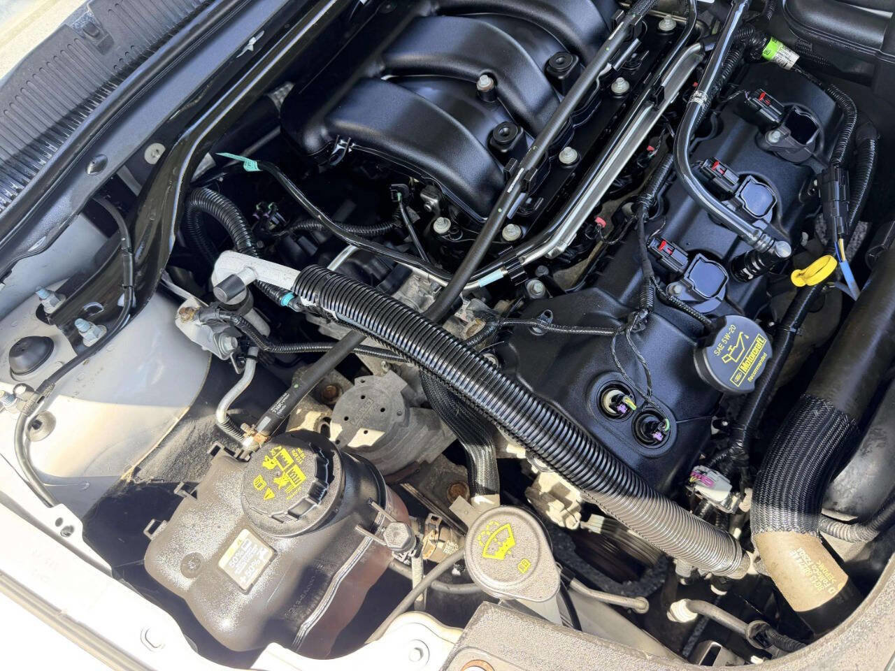 Used 2013 Ford Taurus SEL FWD image 13