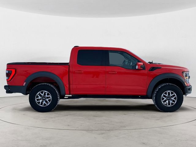 Certified 2023 Ford F150 Raptor w/ Blue Interior Package image 6