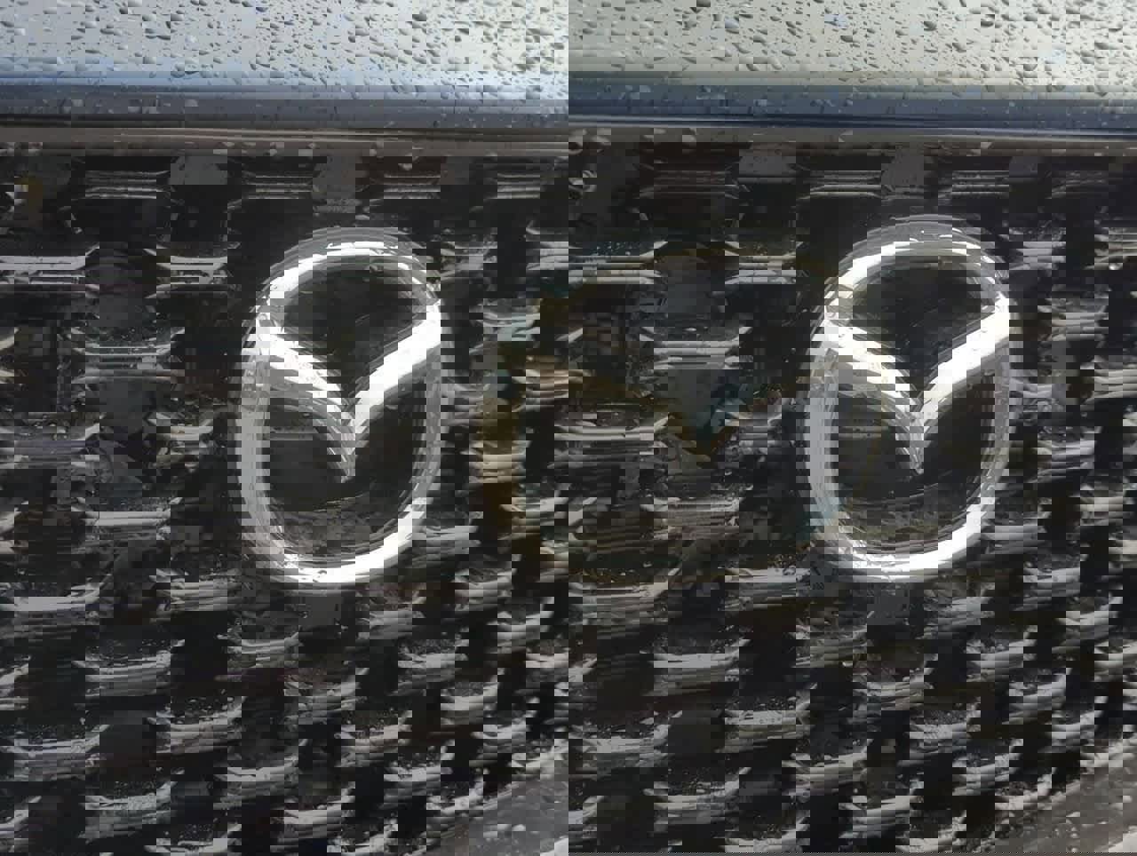 New 2025 MAZDA CX-50 2.5 Hybrid w/ Weather Package image 10