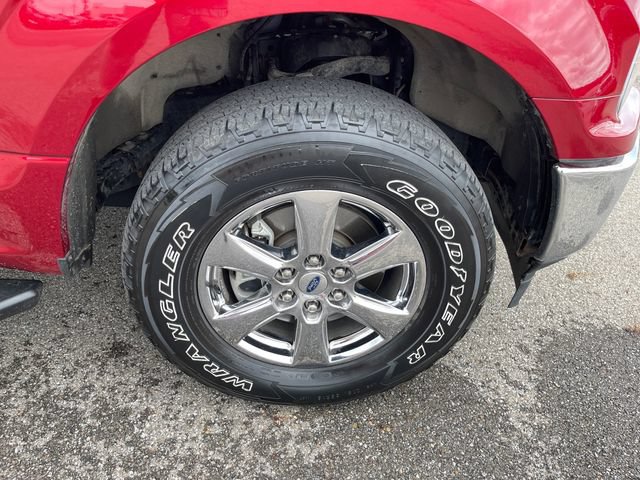 Used 2019 Ford F150 XLT w/ Equipment Group 302A Luxury AWD/4WD image 39