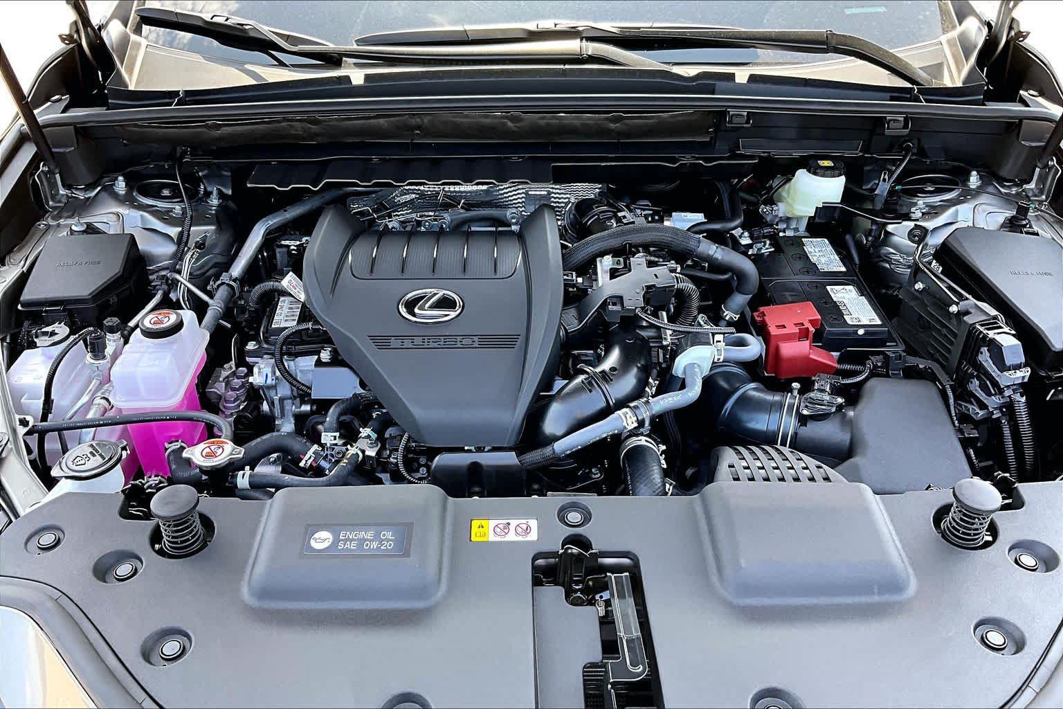 New 2026 Lexus NX 350 AWD w/ Cold Area Package image 16