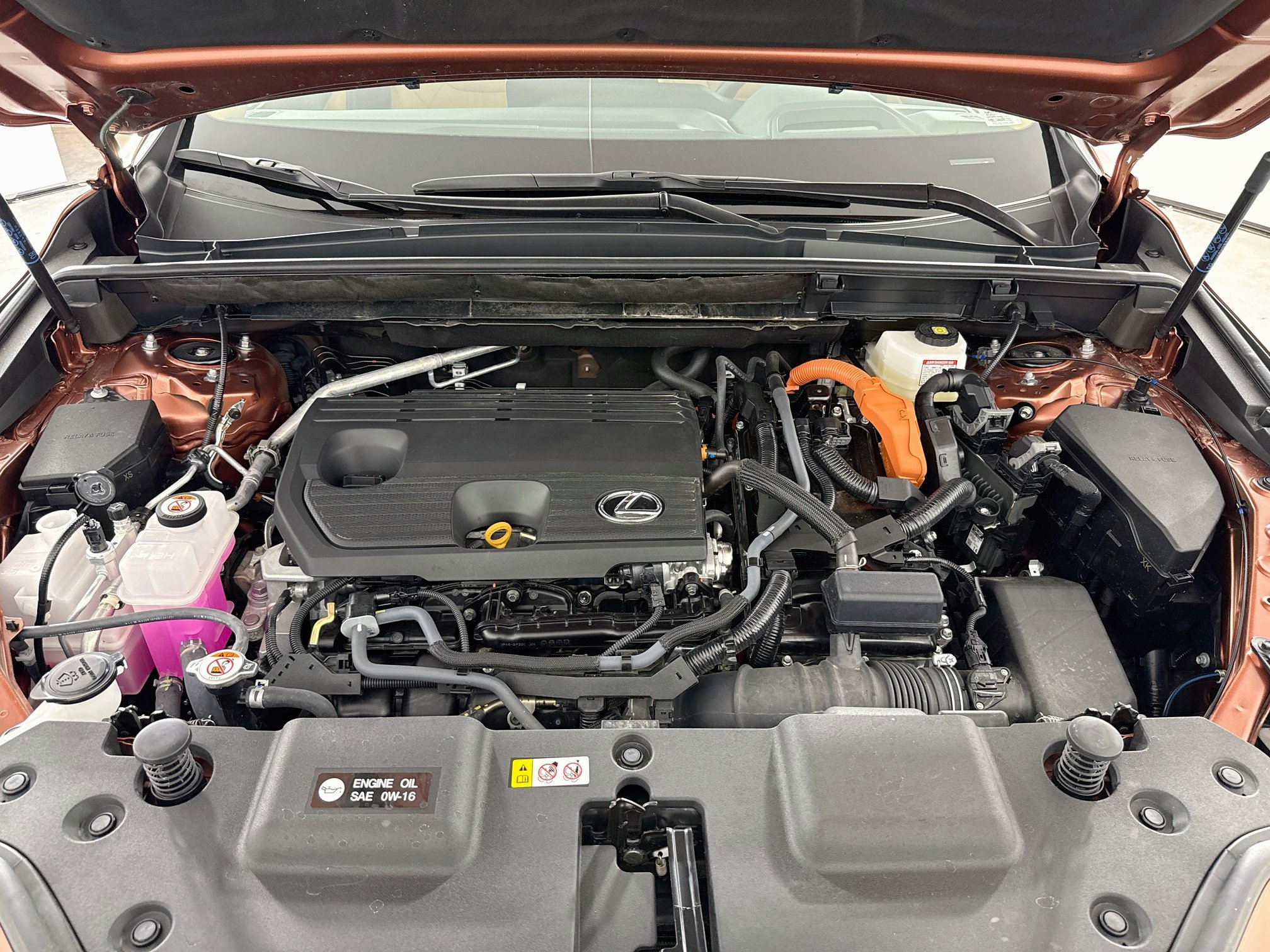 Certified 2025 Lexus NX 350h AWD w/ Cold Area Package image 28