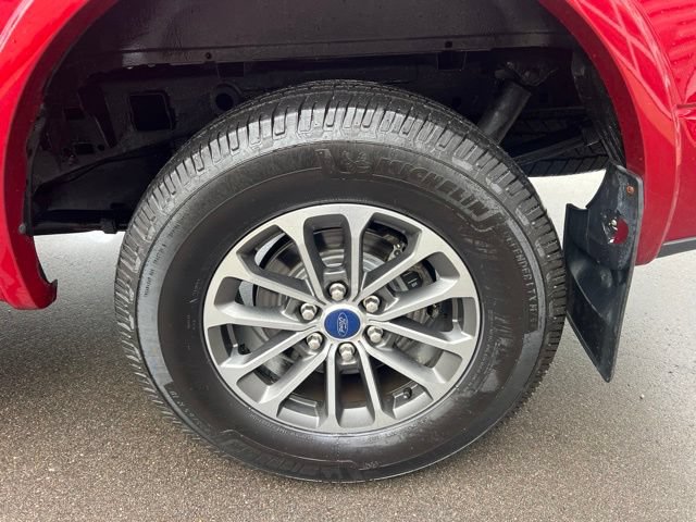 Used 2019 Ford F150 XLT w/ Equipment Group 302A Luxury AWD/4WD image 9