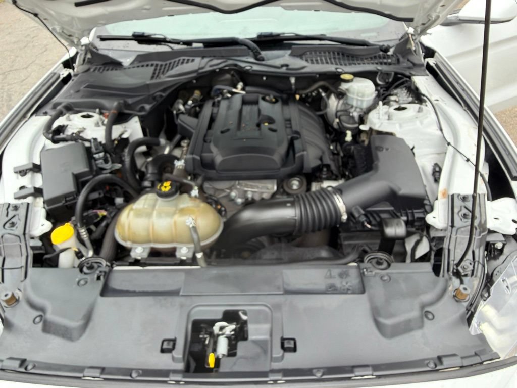 Used 2019 Ford Mustang EcoBoost Premium Coupe 2D w/ Equipment Group 101A RWD image 26