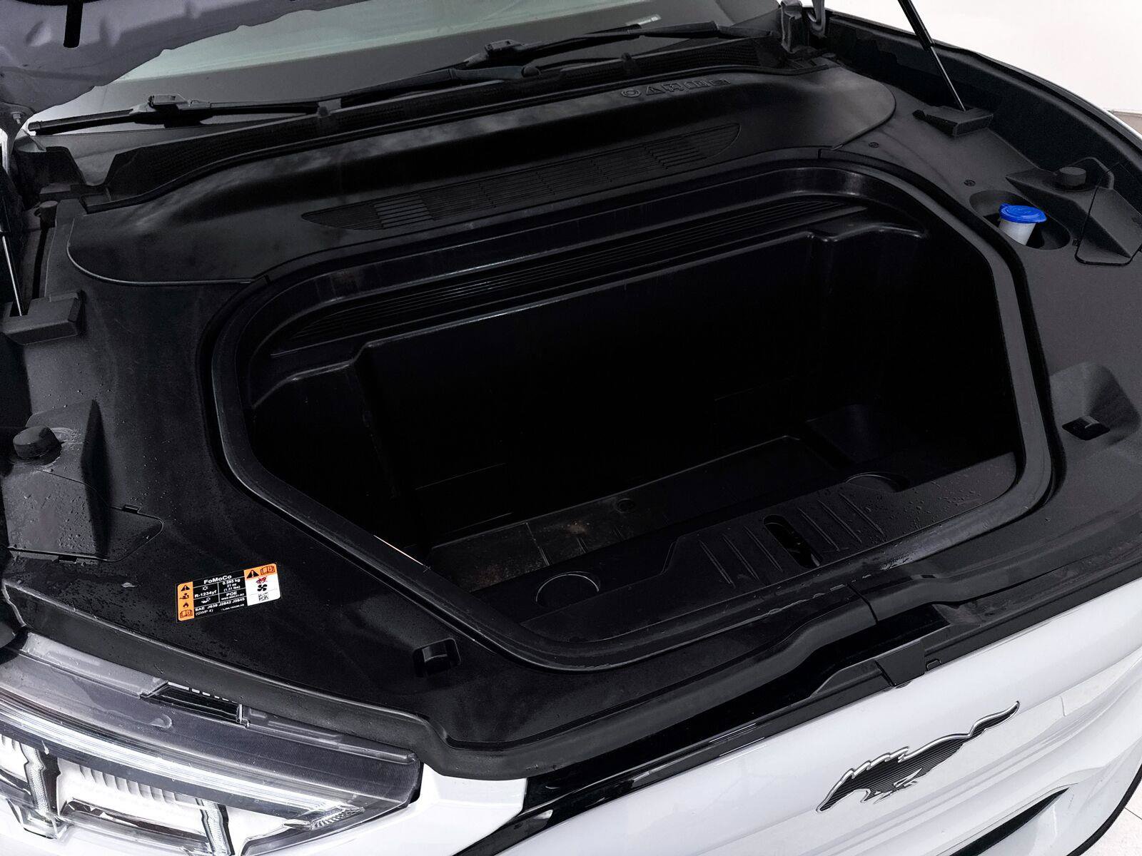 Used 2022 Ford Mustang Mach-E Premium RWD image 9