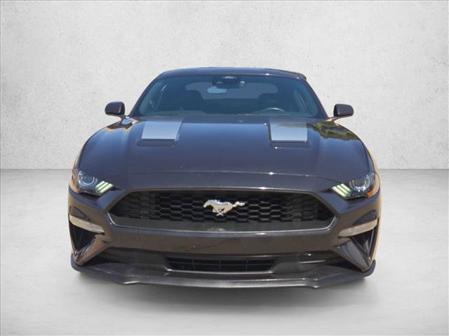 Used 2022 Ford Mustang Coupe w/ Equipment Group 101A RWD image 2