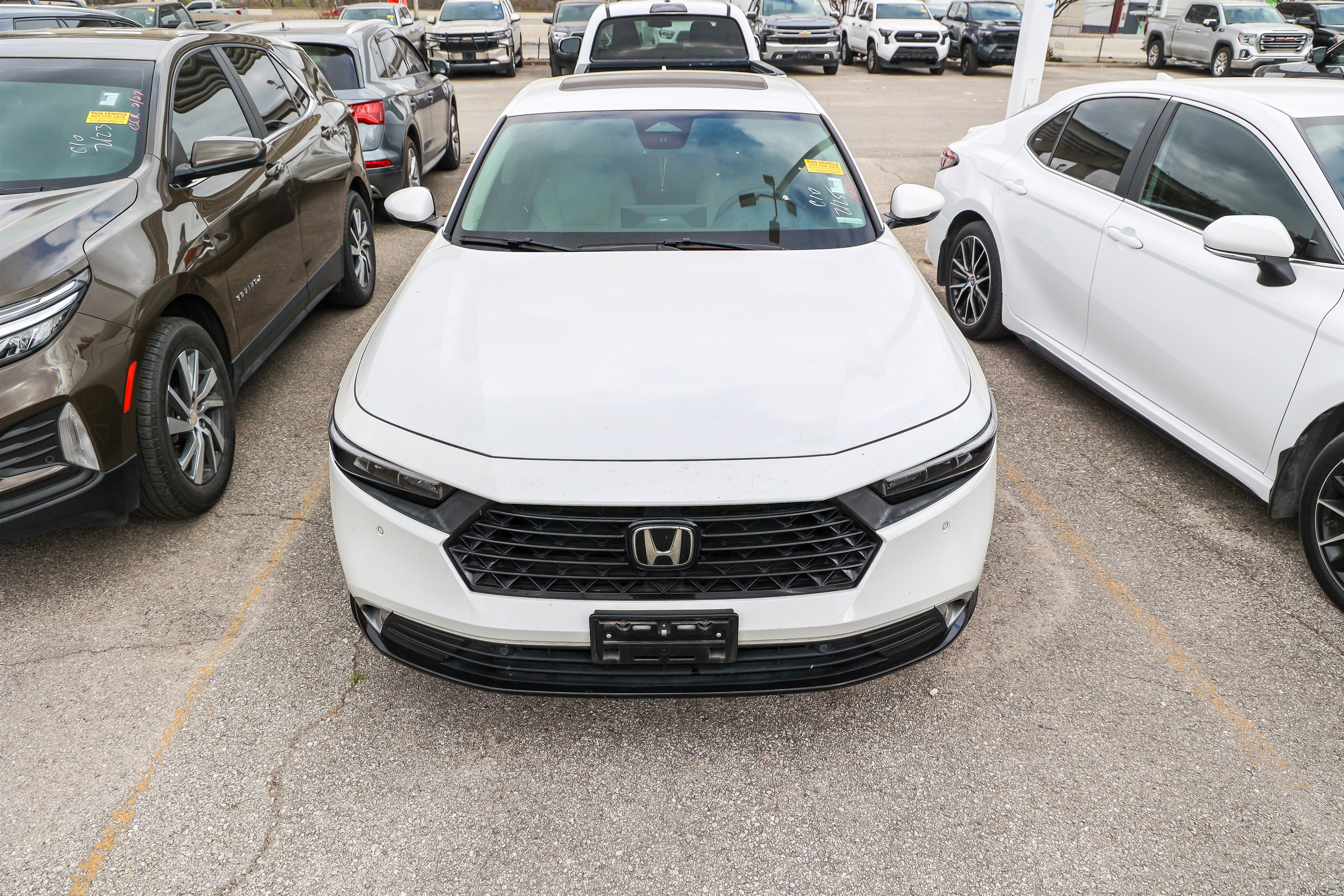 Used 2023 Honda Accord Touring image 5
