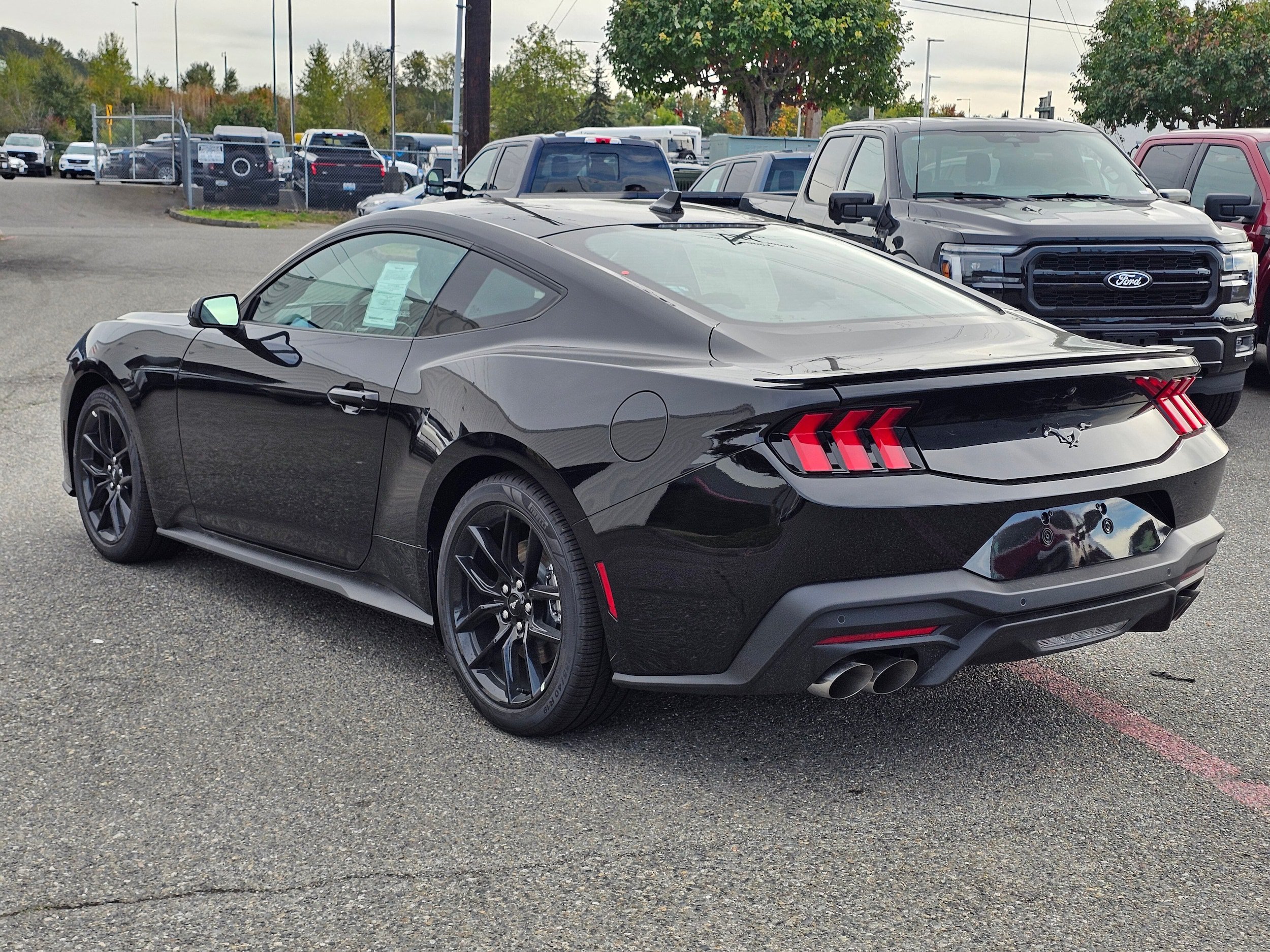 New 2026 Ford Mustang Premium w/ Mustang Nite Pony Package RWD image 7