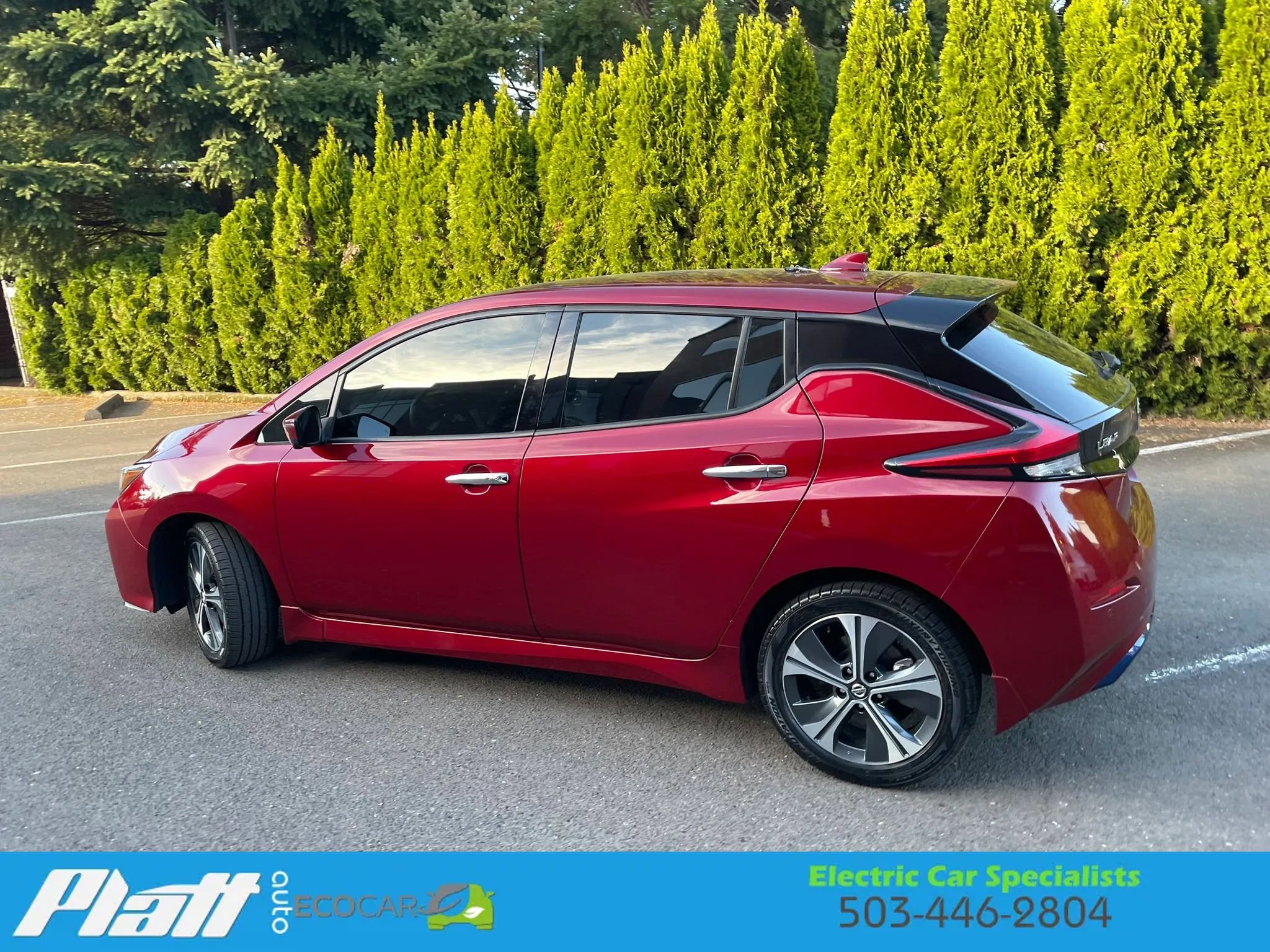 Used 2020 Nissan Leaf SL Plus FWD image 6