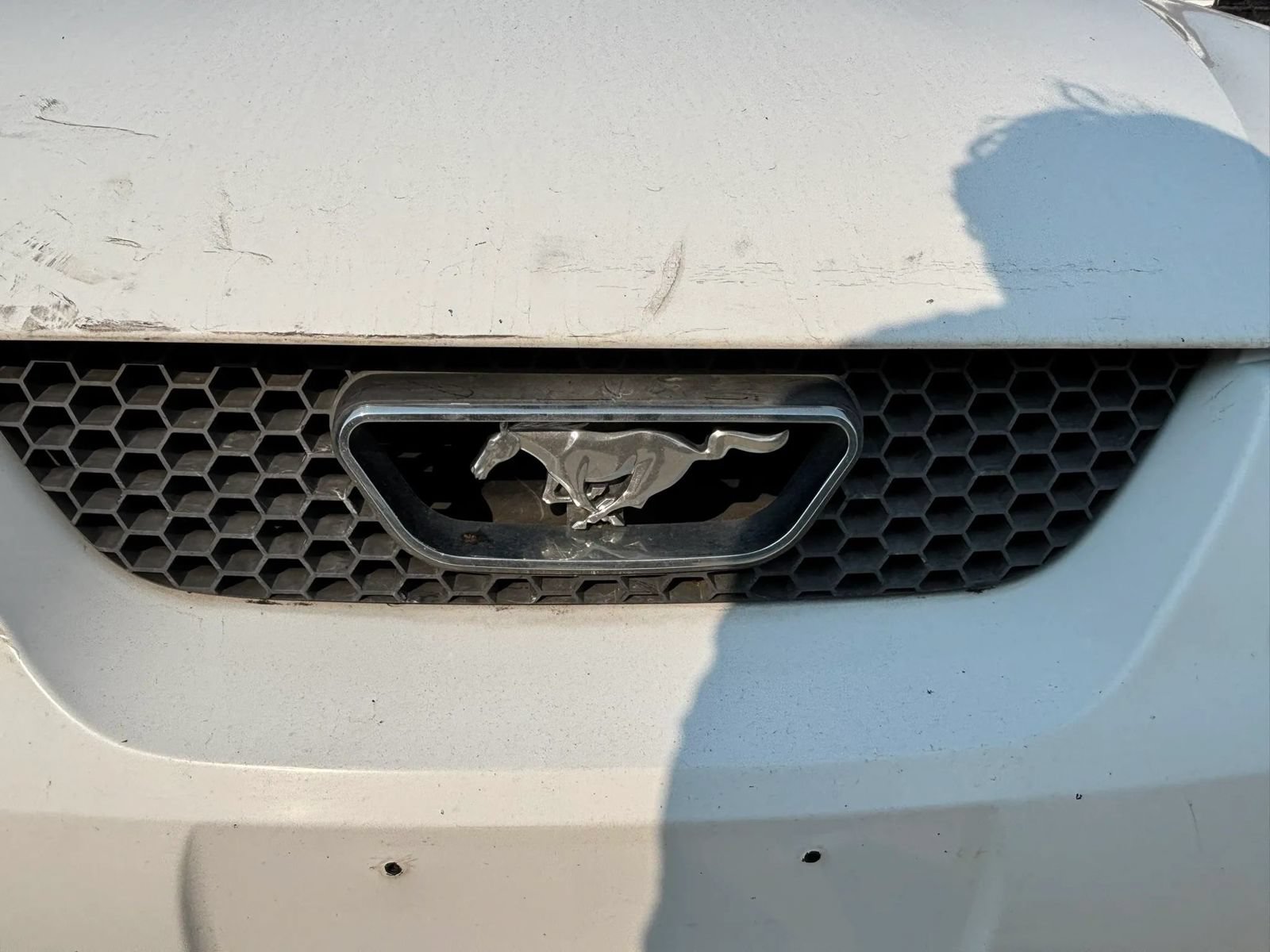 Used 2004 Ford Mustang Premium RWD image 10
