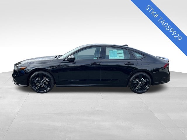 New 2026 Honda Accord Sport image 4