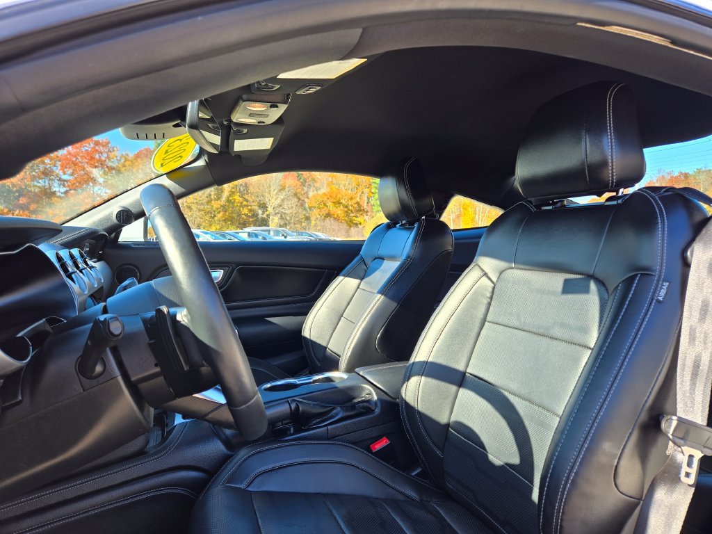 Used 2023 Ford Mustang GT Premium w/ Equipment Group 401A RWD image 13