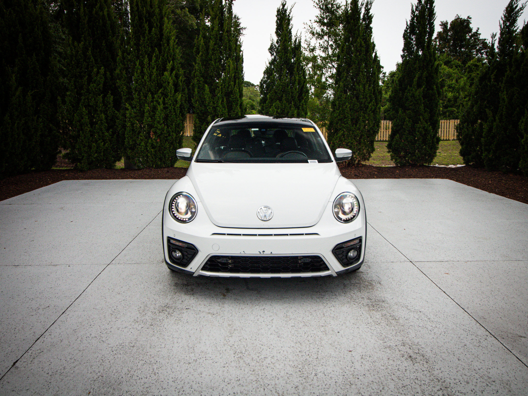 Used 2017 Volkswagen Beetle 1.8T Dune FWD image 3