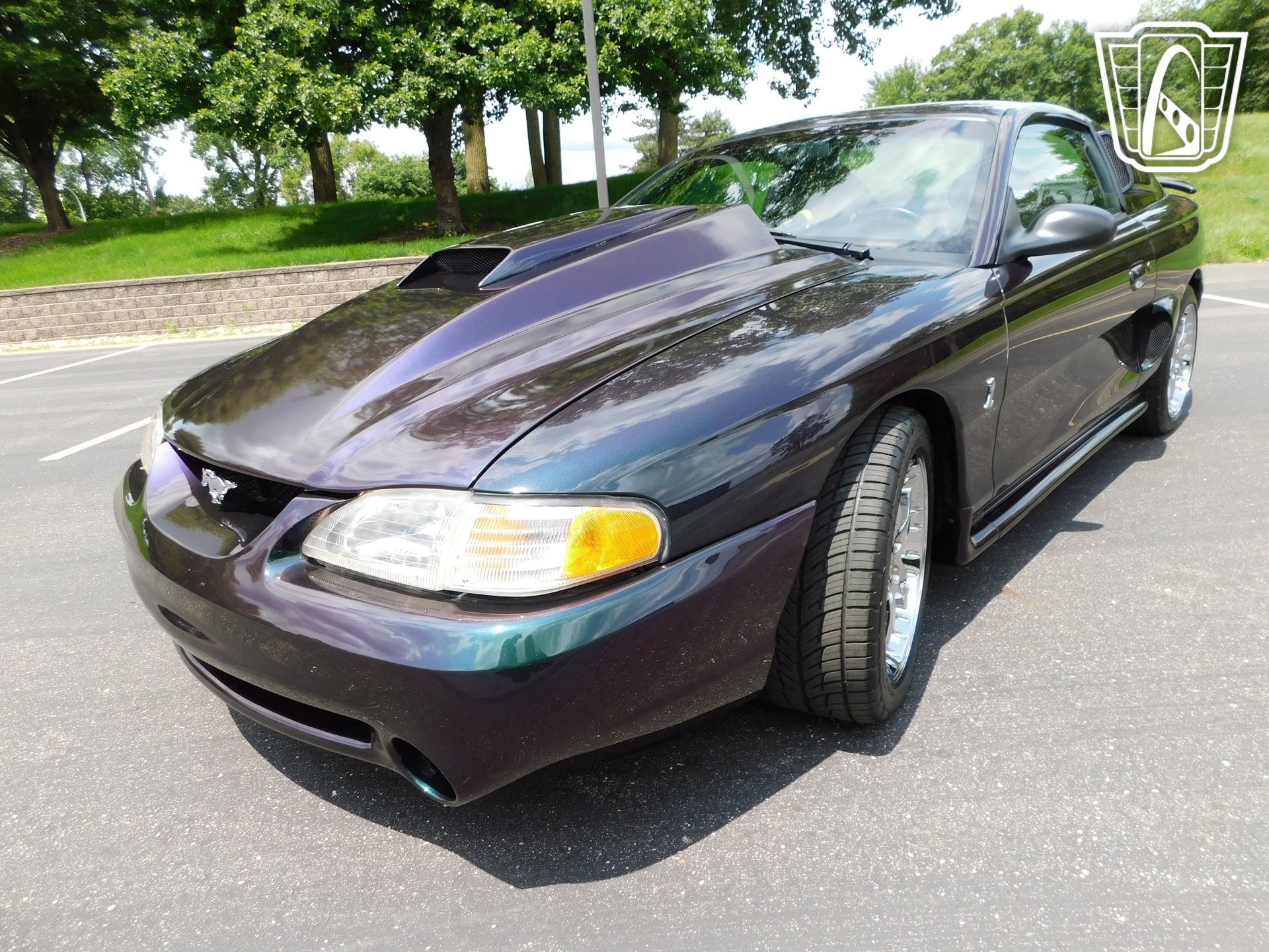 Used 1996 Ford Mustang Cobra RWD image 5