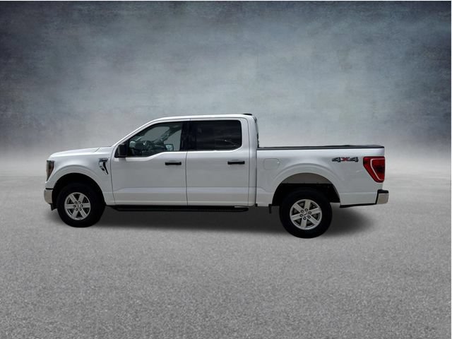 Used 2023 Ford F150 XLT w/ Equipment Group 301A Mid AWD/4WD image 6