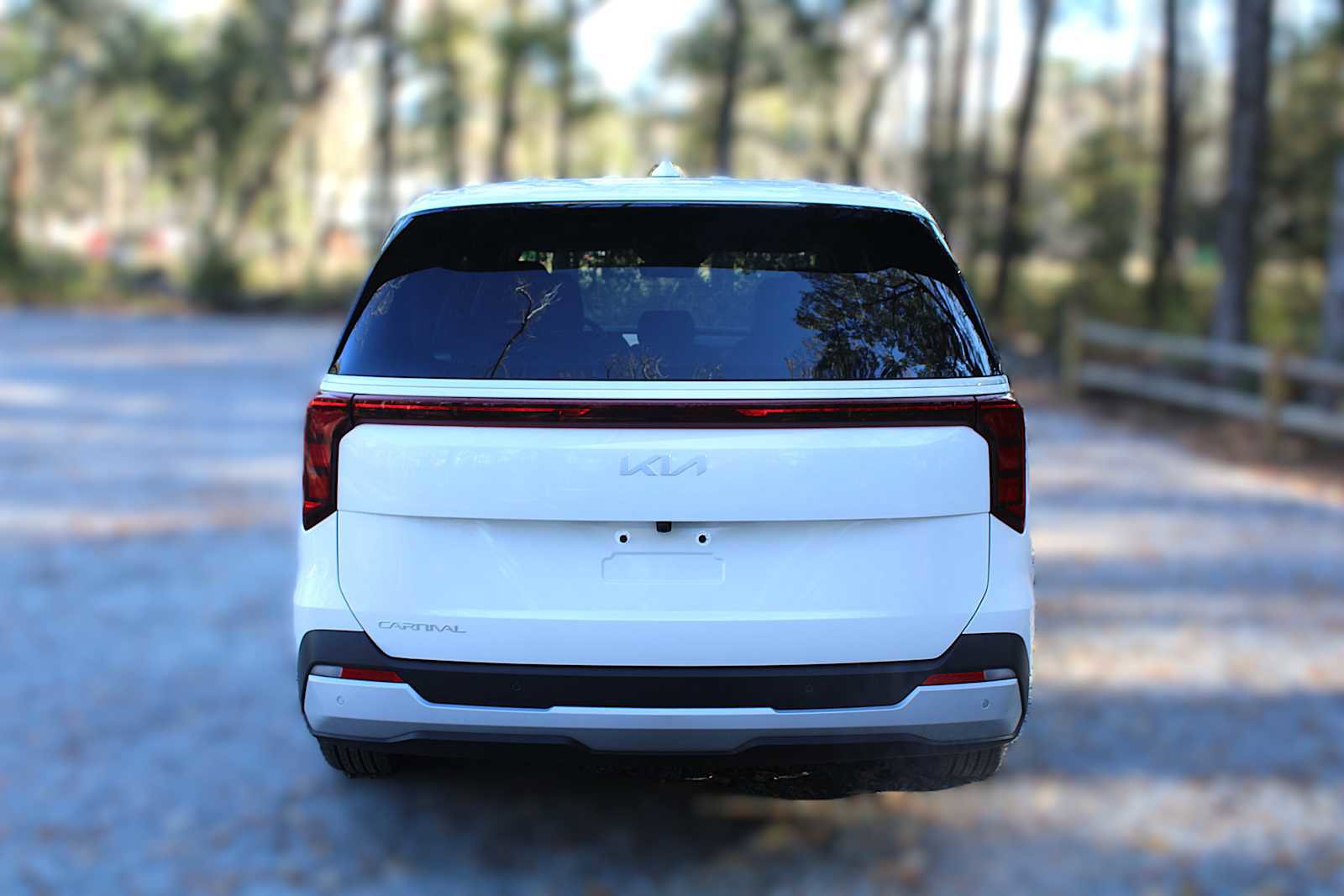 New 2026 Kia Carnival image 11