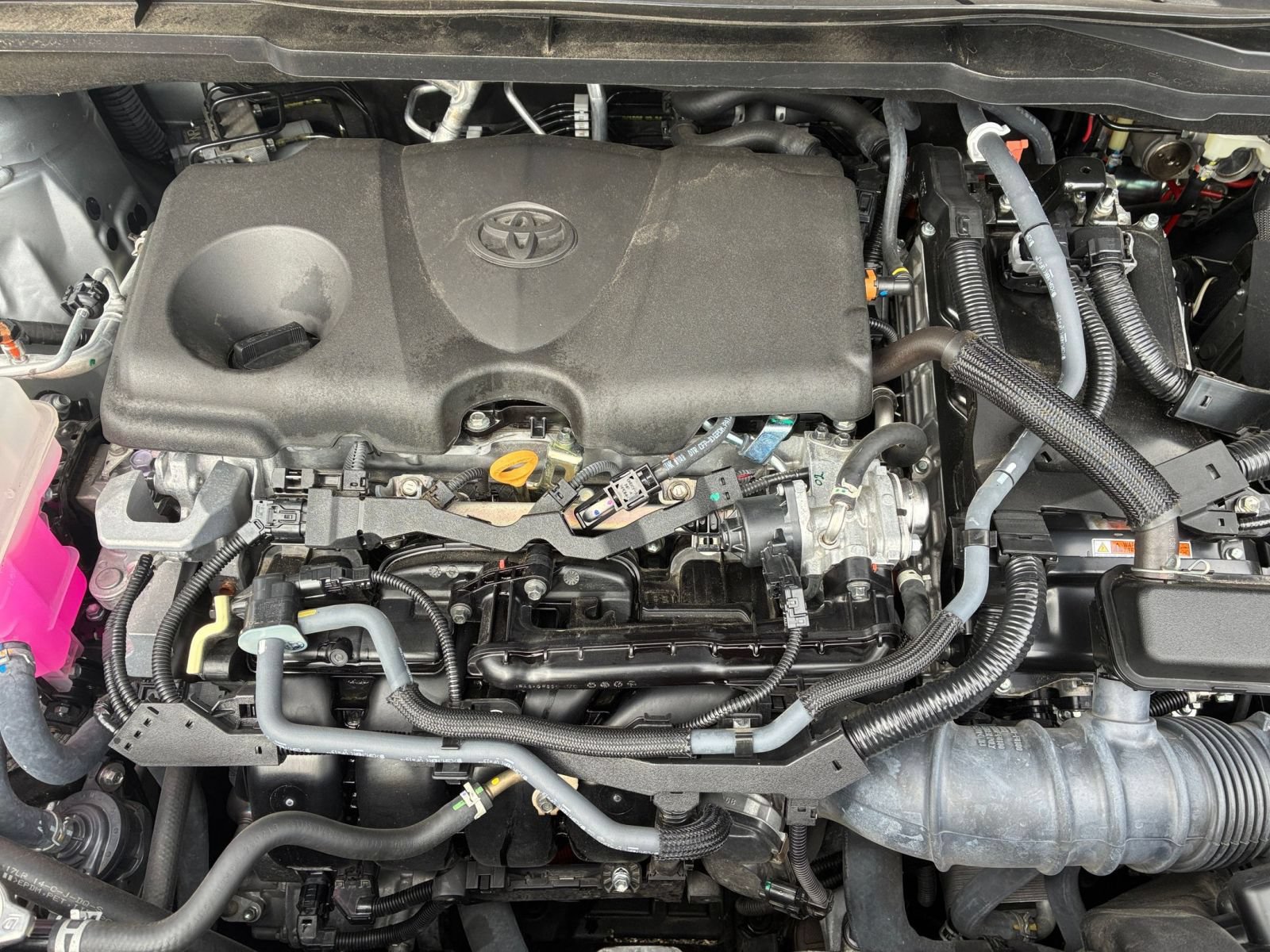 Used 2025 Toyota Sienna XLE FWD image 28