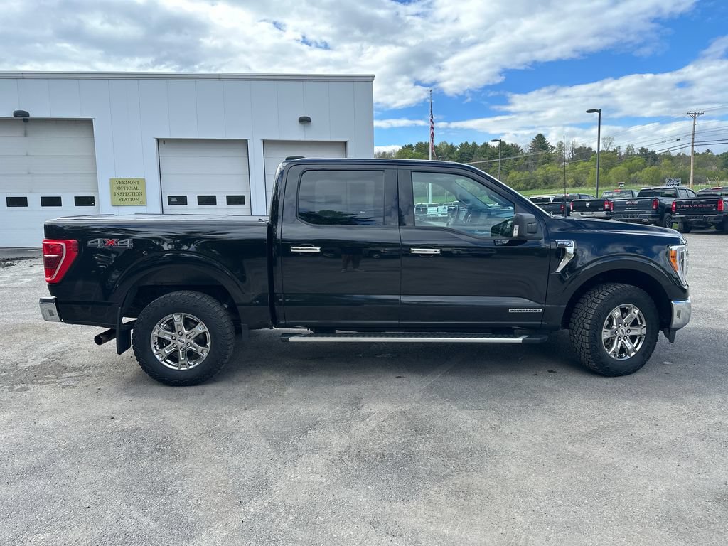 Used 2023 Ford F150 XLT w/ Equipment Group 302A High AWD/4WD image 6