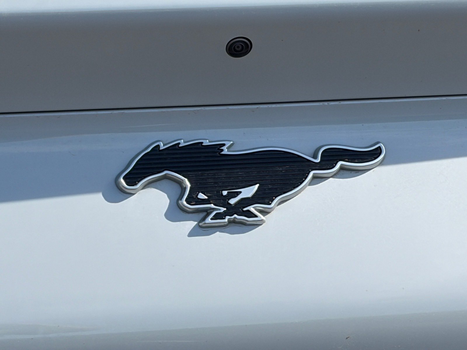 Used 2021 Ford Mustang Mach-E Select RWD image 7