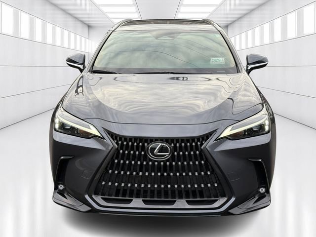 Certified 2023 Lexus NX 250 AWD image 2