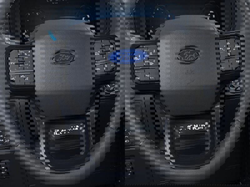 New 2026 Ford F150 Platinum image 12