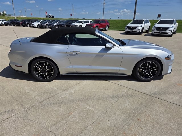 Used 2018 Ford Mustang Premium w/ Equipment Group 201A image 2