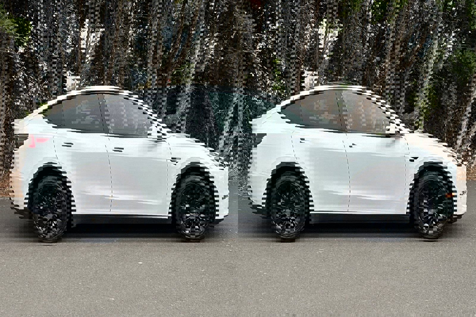 Used 2023 Tesla Model Y Long Range image 3