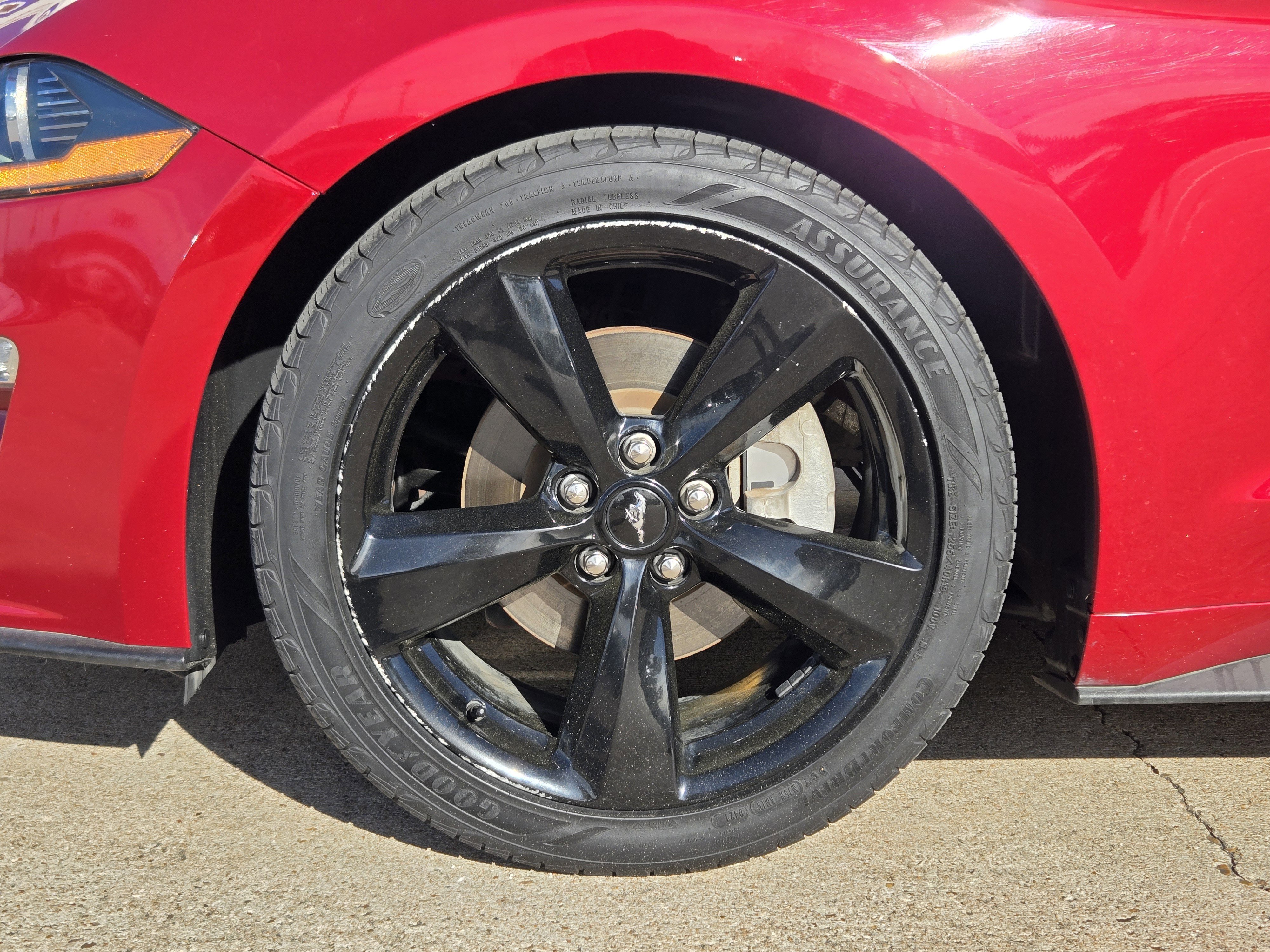 Certified 2021 Ford Mustang EcoBoost w/ Equipment Group 101A image 7