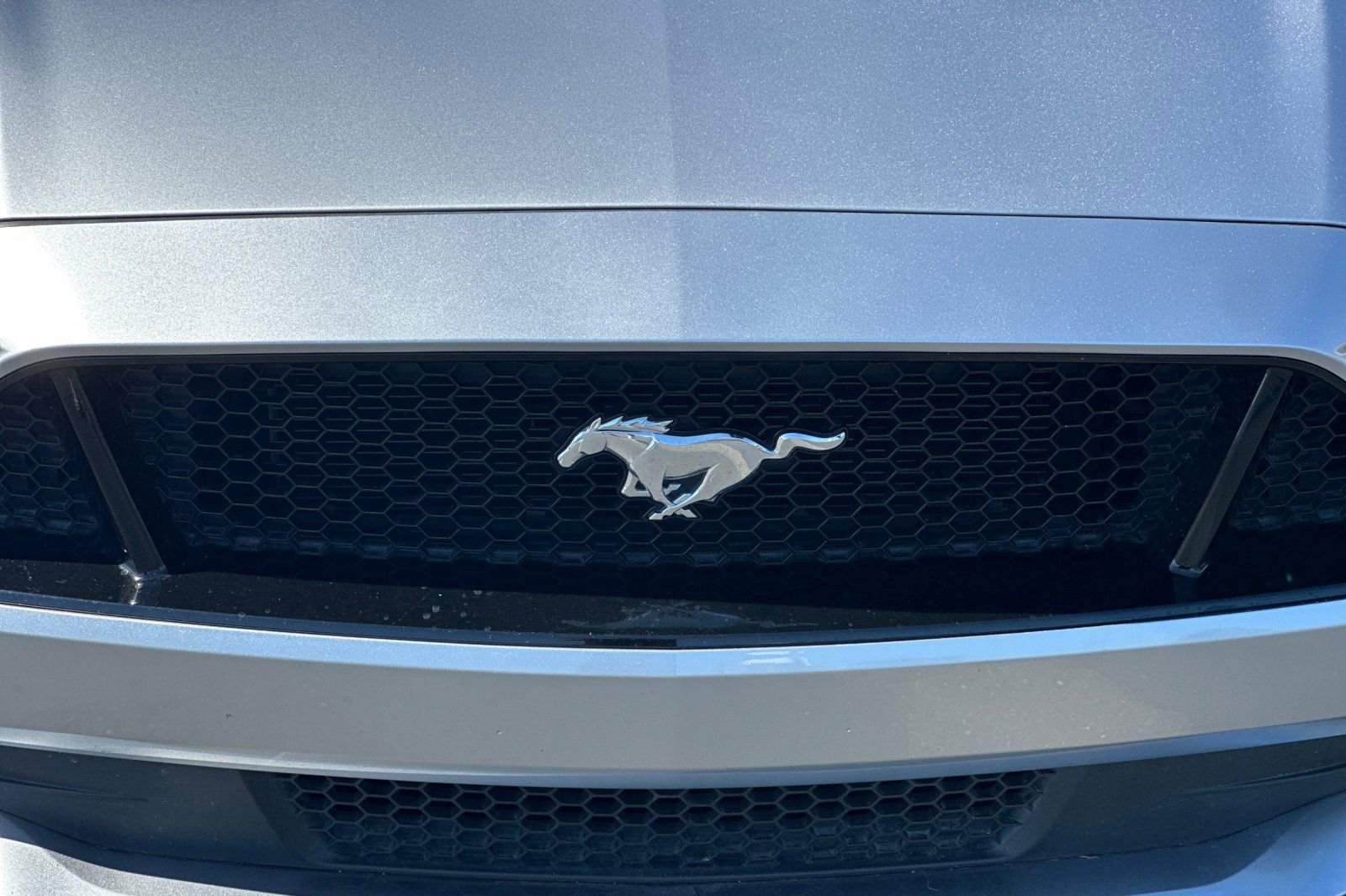 Used 2021 Ford Mustang GT Premium w/ GT Performance Package RWD image 43
