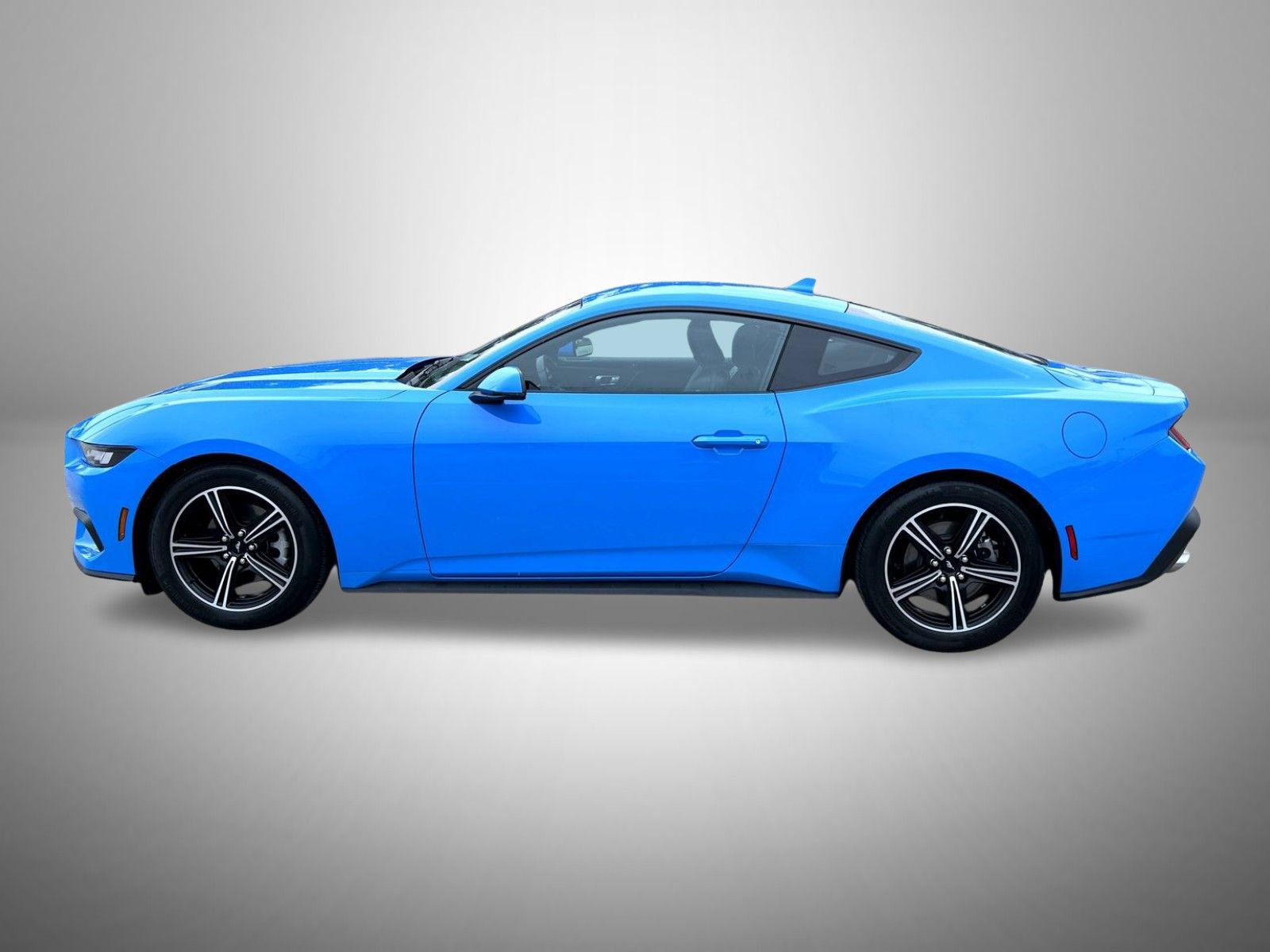 Used 2024 Ford Mustang Premium RWD image 8