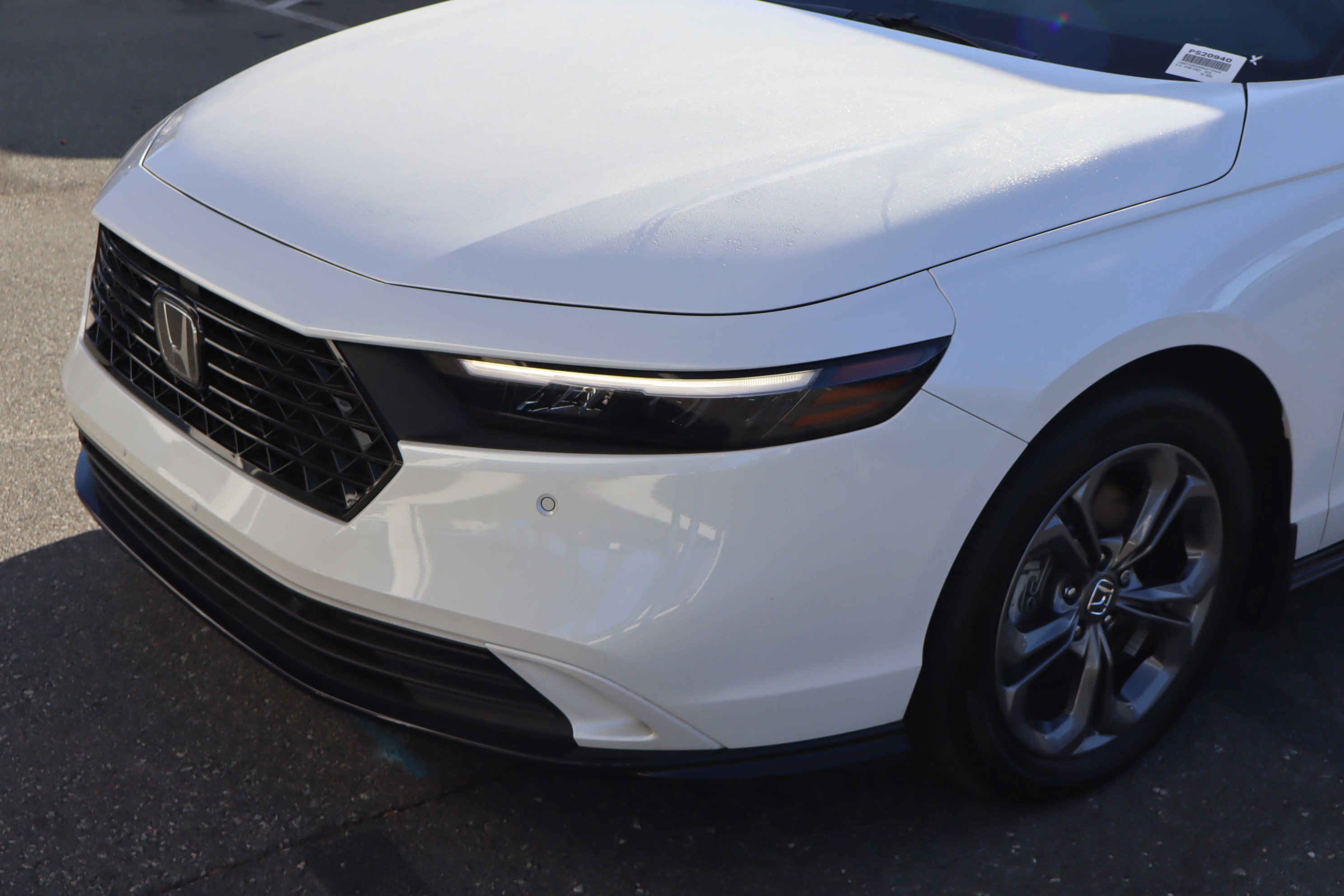 Used 2024 Honda Accord EX-L image 6