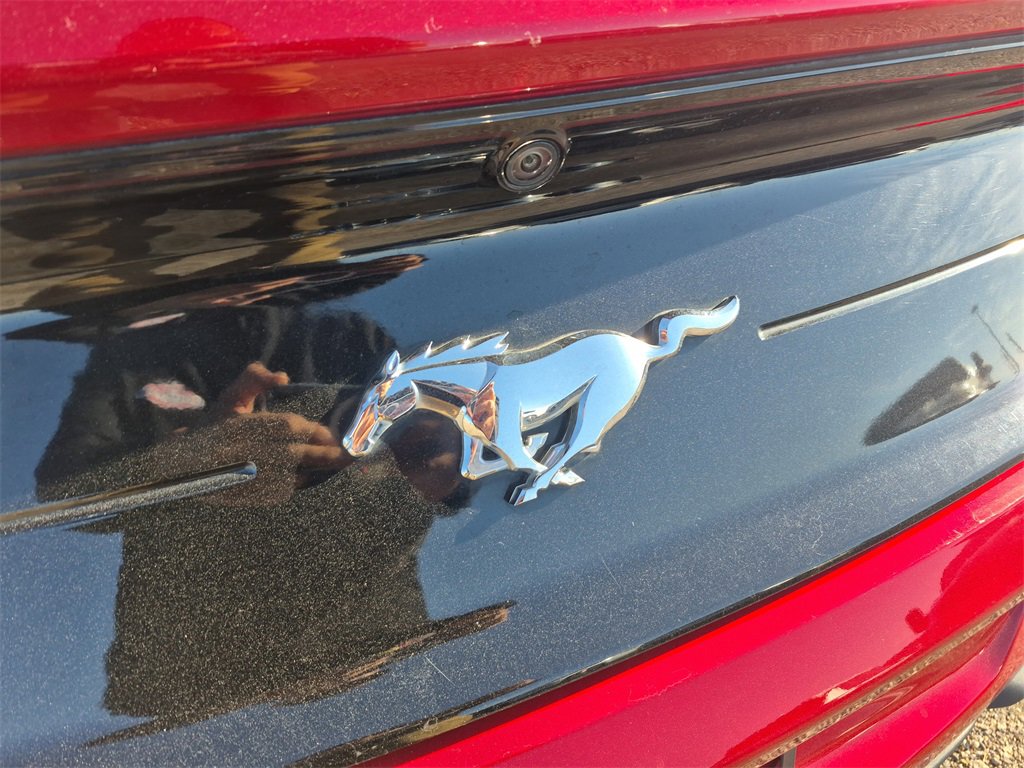 Used 2023 Ford Mustang Premium w/ Equipment Group 201A image 29