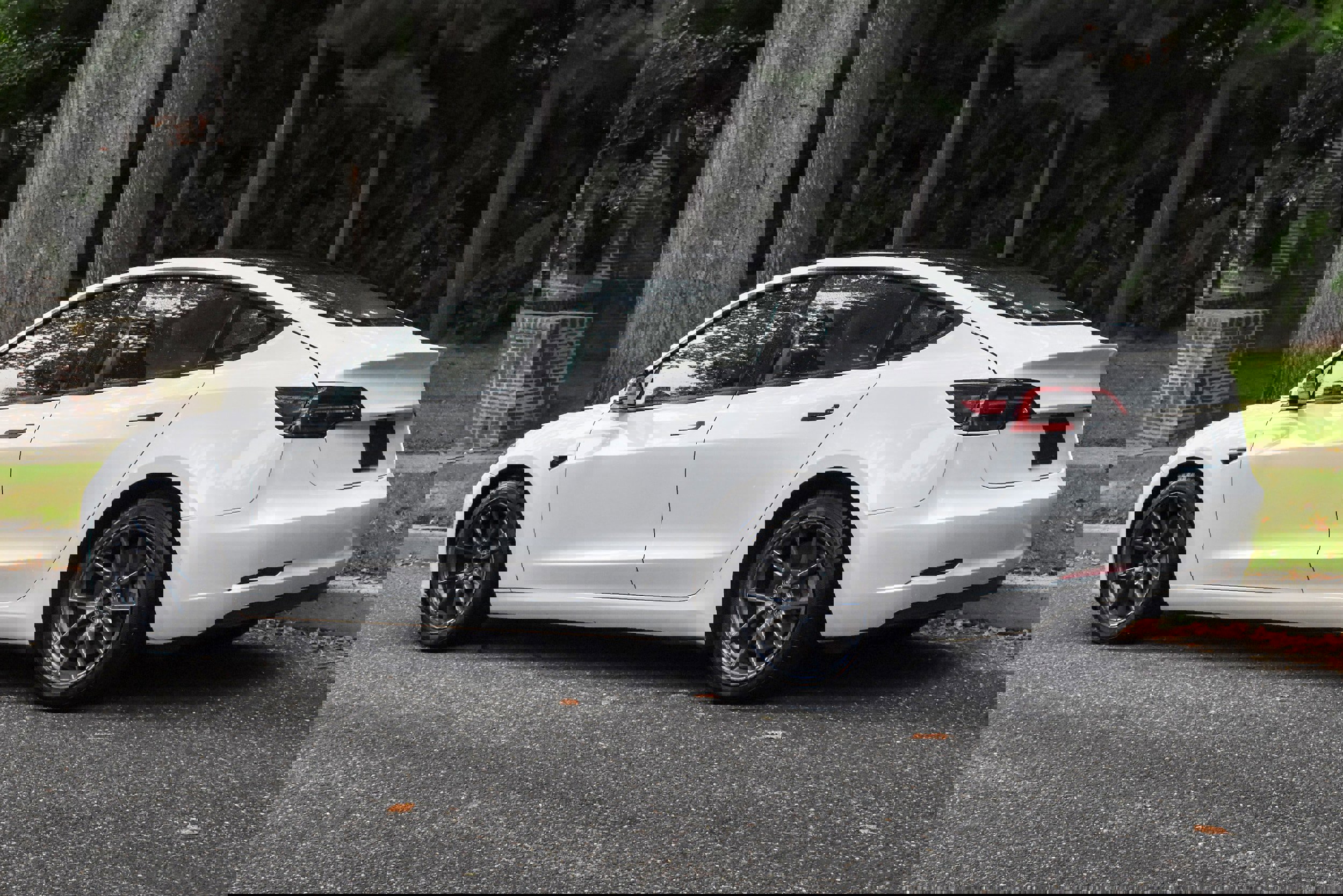 Used 2023 Tesla Model 3 Standard Range image 6