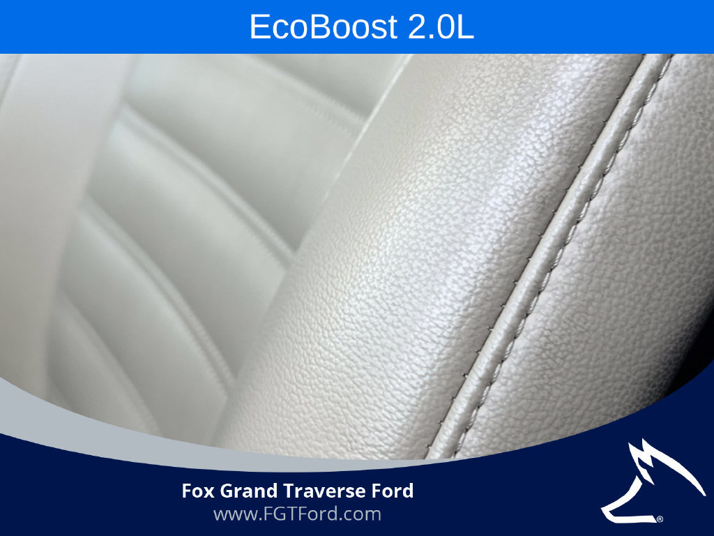 Used 2024 Ford Edge SEL AWD/4WD image 13