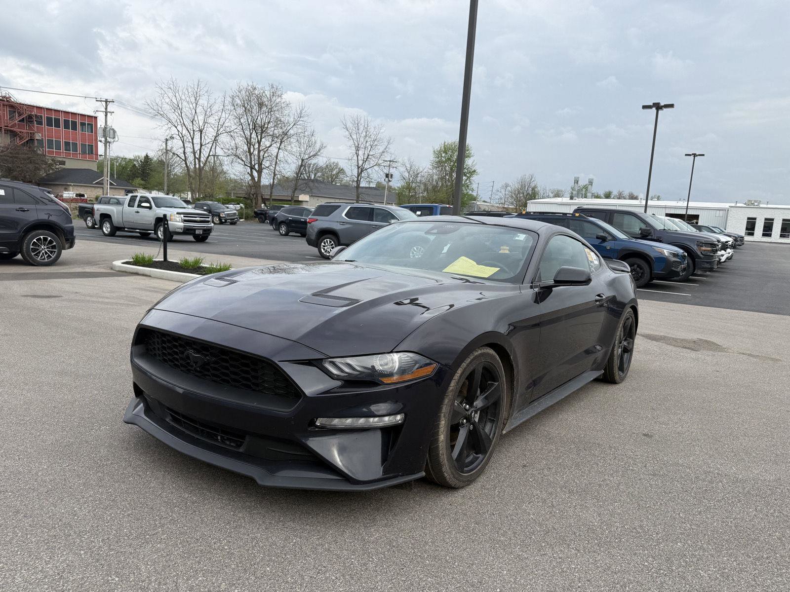 Used 2023 Ford Mustang Coupe w/ Mustang Nite Pony Package RWD image 7