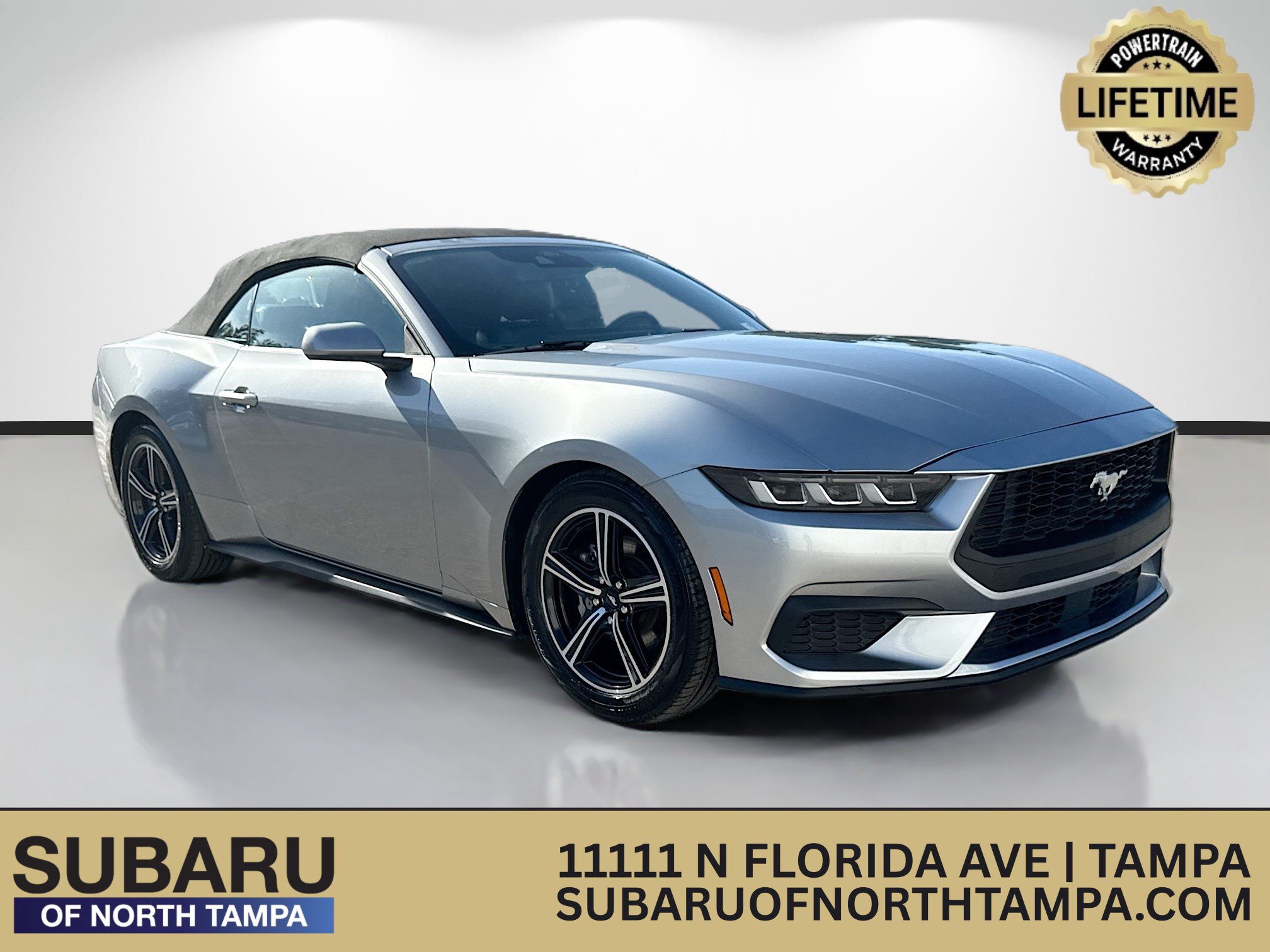 Used 2024 Ford Mustang Premium