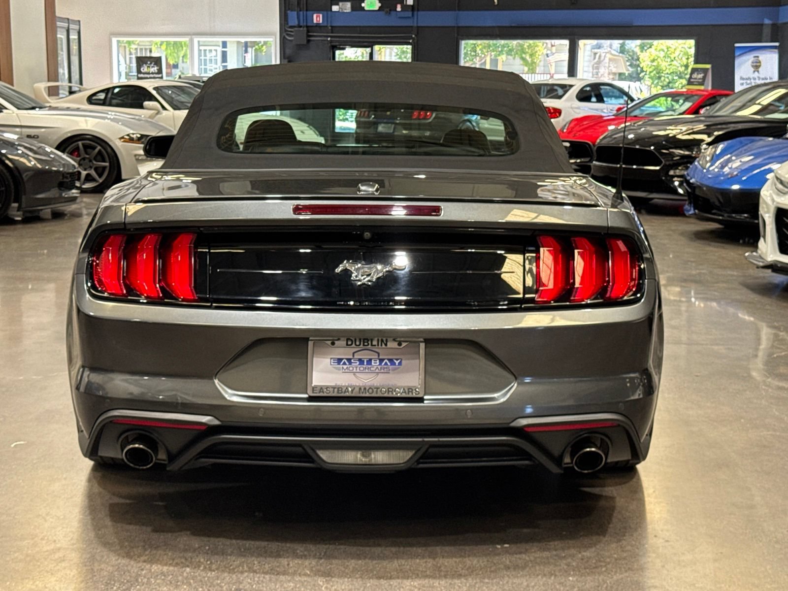 Used 2019 Ford Mustang Premium w/ Equipment Group 201A RWD image 13
