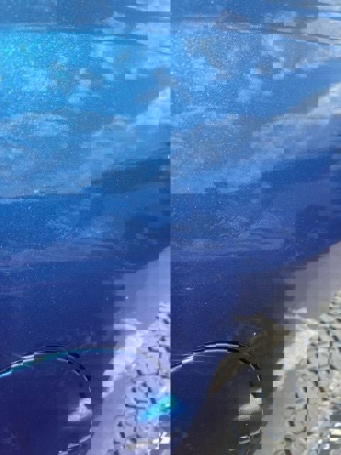 Used 2015 Chevrolet Silverado 1500 LT w/ All Star Edition image 29